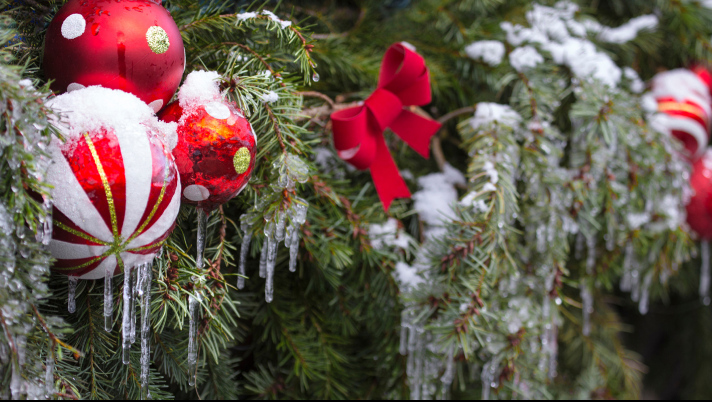Decorating graves for christmas discount